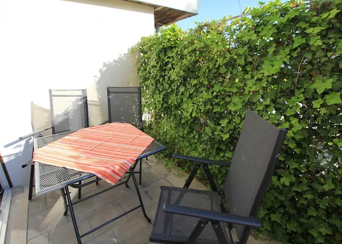 Schwarzwaelder Tierplaetzchen - Terrasse Und Parkplatz